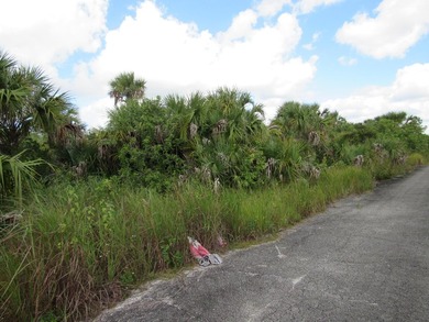 Buildable lot in SW Palm - photo 2