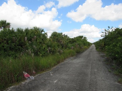 Buildable lot in SW Palm - photo 3