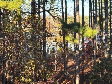 Lake Lot For Sale in Hodges, South Carolina