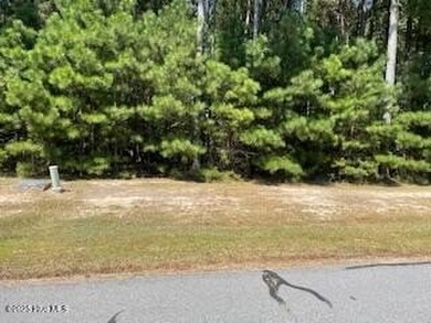 Come home to a gated community just a few miles outside of - photo 3