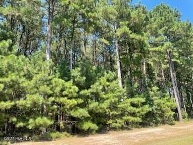 Come home to a gated community just a few miles outside of - photo 4