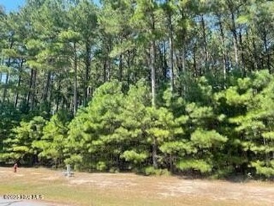 Come home to a gated community just a few miles outside of - photo 5