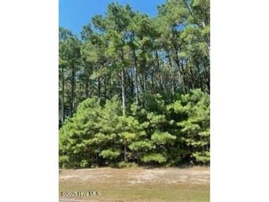 Come home to a gated community just a few miles outside of - photo 7