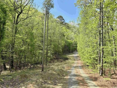 A true legacy tract on Lake Ouachita-and one that hasn't been - photo 11