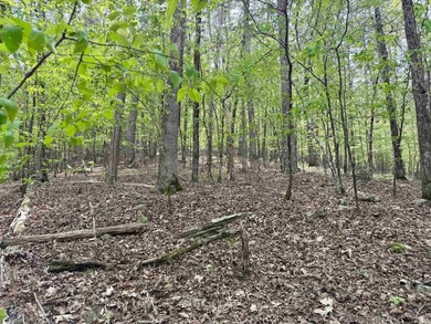 A true legacy tract on Lake Ouachita-and one that hasn't been - photo 12