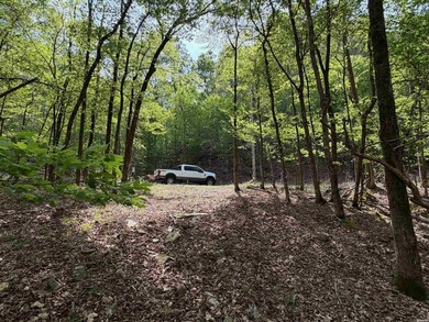 A true legacy tract on Lake Ouachita-and one that hasn't been - photo 13