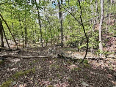 A true legacy tract on Lake Ouachita-and one that hasn't been - photo 14