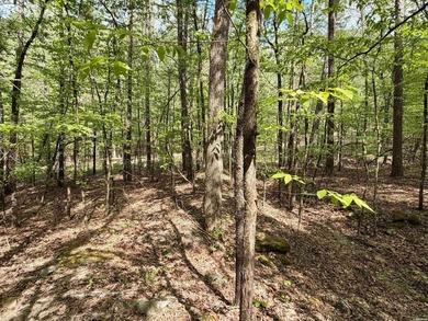 A true legacy tract on Lake Ouachita-and one that hasn't been - photo 15