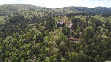 A true legacy tract on Lake Ouachita-and one that hasn't been - photo 16