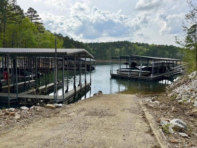 A true legacy tract on Lake Ouachita-and one that hasn't been - photo 17