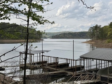 A true legacy tract on Lake Ouachita-and one that hasn't been - photo 19