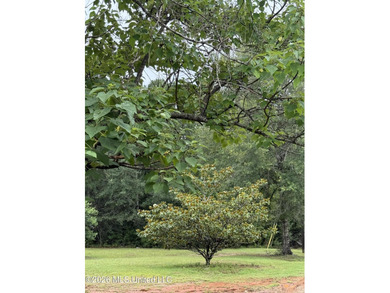 SPACIOUS 4-BEDROOM HOME ON OVER 4 ACRES IN MCHENRY!! Discover - photo 30