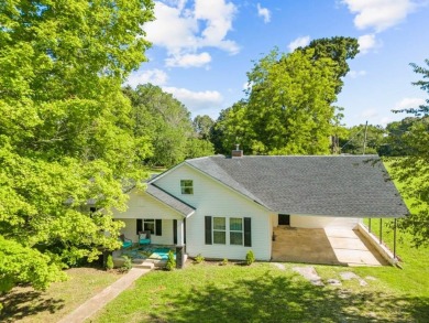 Lake Home For Sale in Big Sandy, Tennessee