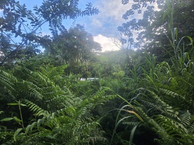 Located at the end of a quiet street behind Pahoa Elementary - photo 3