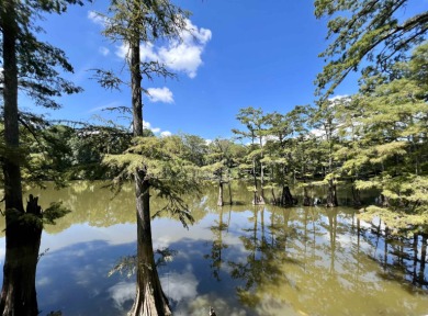 Lake Home Off Market in Ripley, Tennessee