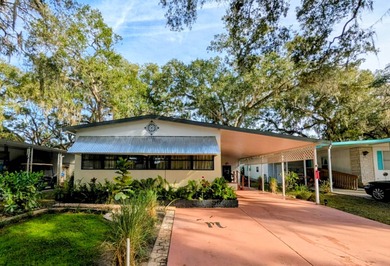 Bystre Lake Home For Sale in Brooksville Florida