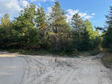 Lake Lot For Sale in Johannesburg, Michigan