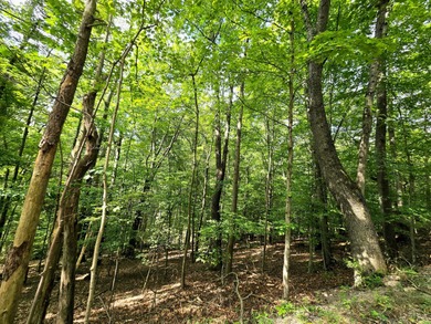 Lake of Four Seasons Lot For Sale in Hideaway Hills Ohio