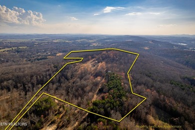 Gorgeous rolling farm land in Monroe County with mountain views - photo 4