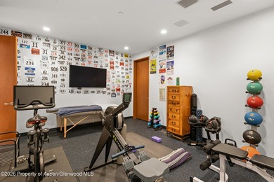 Located on a cul-de-sac just minutes from downtown Aspen, this - photo 25