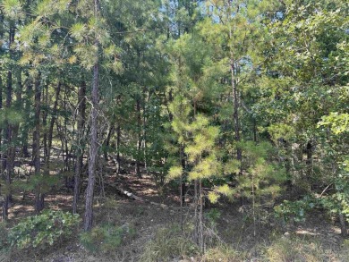 Lake Balboa Lot For Sale in Hot Springs Village Arkansas