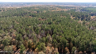 Lake Acreage For Sale in Pelahatchie, Mississippi