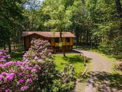 Lake Home For Sale in Pocono Pines, Pennsylvania