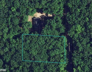 44 ACRES LOCATED IN WAVERLY HALL, GA WAITING FOR YOU! CHECK IT - photo 1