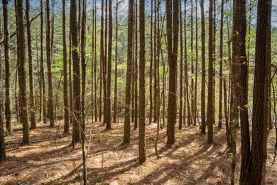 Beautiful 2.14-acre tract located in Soddy Daisy offering a - photo 2