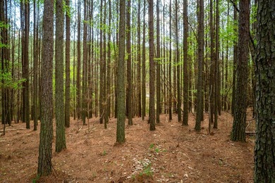 Beautiful 2.14-acre tract located in Soddy Daisy offering a - photo 6