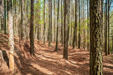 Beautiful 2.14-acre tract located in Soddy Daisy offering a - photo 7