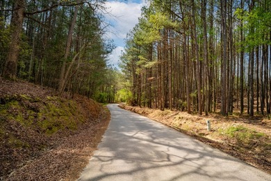 Beautiful 2.14-acre tract located in Soddy Daisy offering a - photo 8