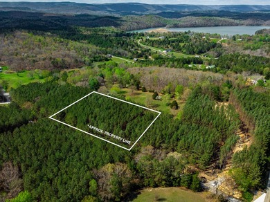 Beautiful 2.14-acre tract located in Soddy Daisy offering a - photo 10