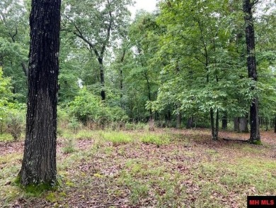 Lake Lot For Sale in Bull Shoals, Arkansas
