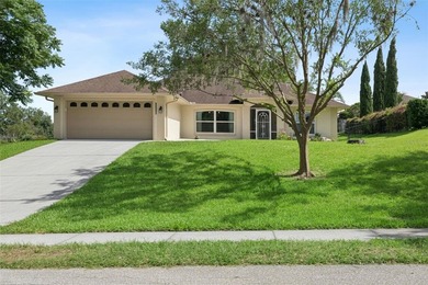 Welcome home to this beautifully maintained, immaculately clean - photo 38