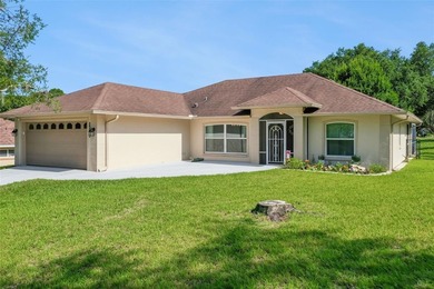 Welcome home to this beautifully maintained, immaculately clean - photo 40