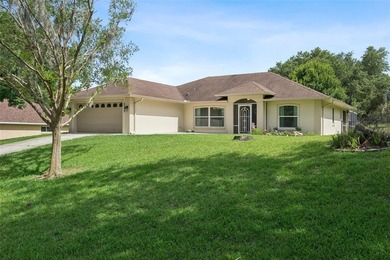 Welcome home to this beautifully maintained, immaculately clean - photo 41
