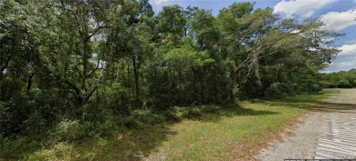 Withlacoochee River Lot For Sale in Citrus Springs Florida