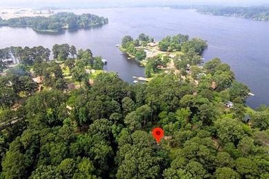 GREAT WEEKEND CABIN LOCATED JUST MINUTES FROM LONGVIEW ON LONE - photo 20
