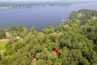 GREAT WEEKEND CABIN LOCATED JUST MINUTES FROM LONGVIEW ON LONE - photo 21