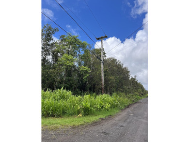 Rare opportunity to own a desirable 3-acre square corner lot in - photo 2