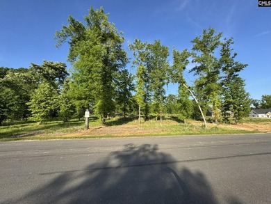 Lake Murray Lot For Sale in Prosperity South Carolina