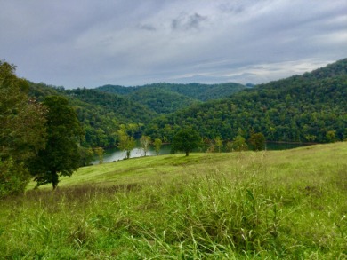 Powell River Acreage For Sale in New Tazewell Tennessee