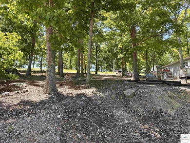 Located on a quiet cove on the Lake of the Ozarks in a very - photo 29