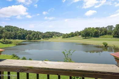 Coming Soon in Avalon - 320 Augusta Lane, Lenoir City, TN Get - photo 32