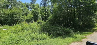 Lake Lot For Sale in Royal, Arkansas