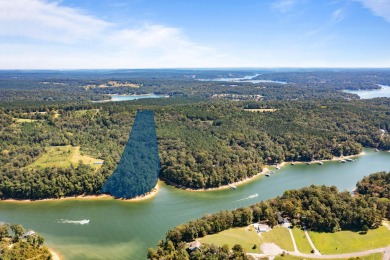 Smith Lake (Pigeon Roost Creek) Great opportunity to own 19 - Lake Acreage For Sale in Crane Hill, Alabama