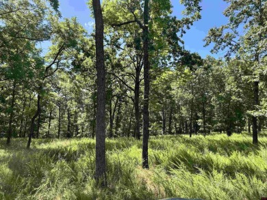 Lake Acreage For Sale in Yellville, Arkansas