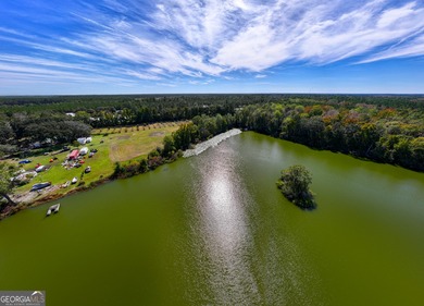 Lake Acreage For Sale in Townsend, Georgia
