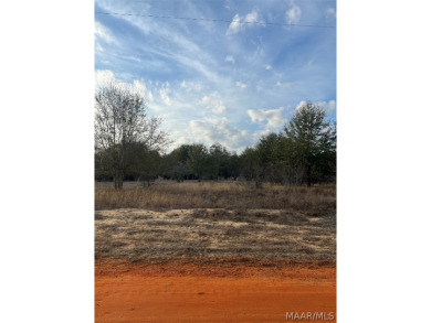 William Dannelly Reservoir / Lake Dannelly Lot For Sale in Camden Alabama